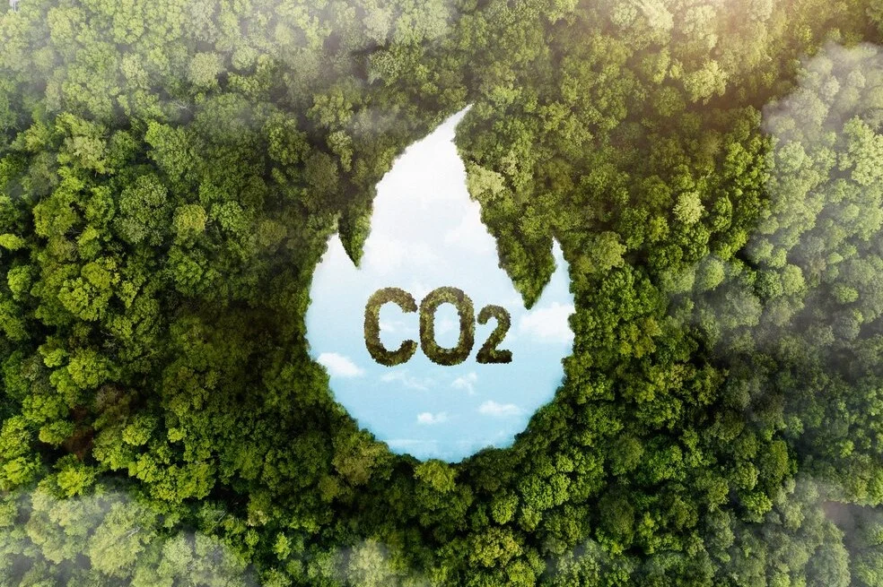 CO2 Asit mi Baz mı? — kapak görseli