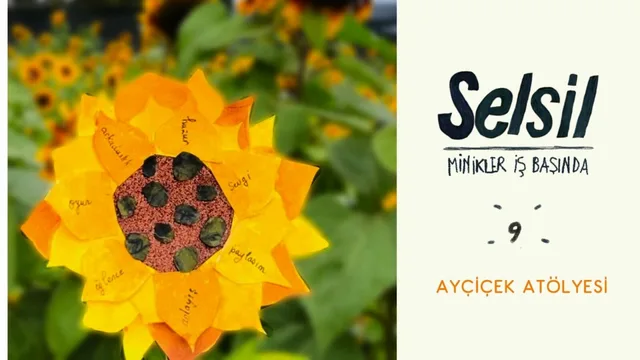 Sunflower Workshop